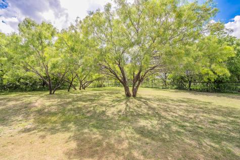 146 Buddy Court Millsap TX 76066