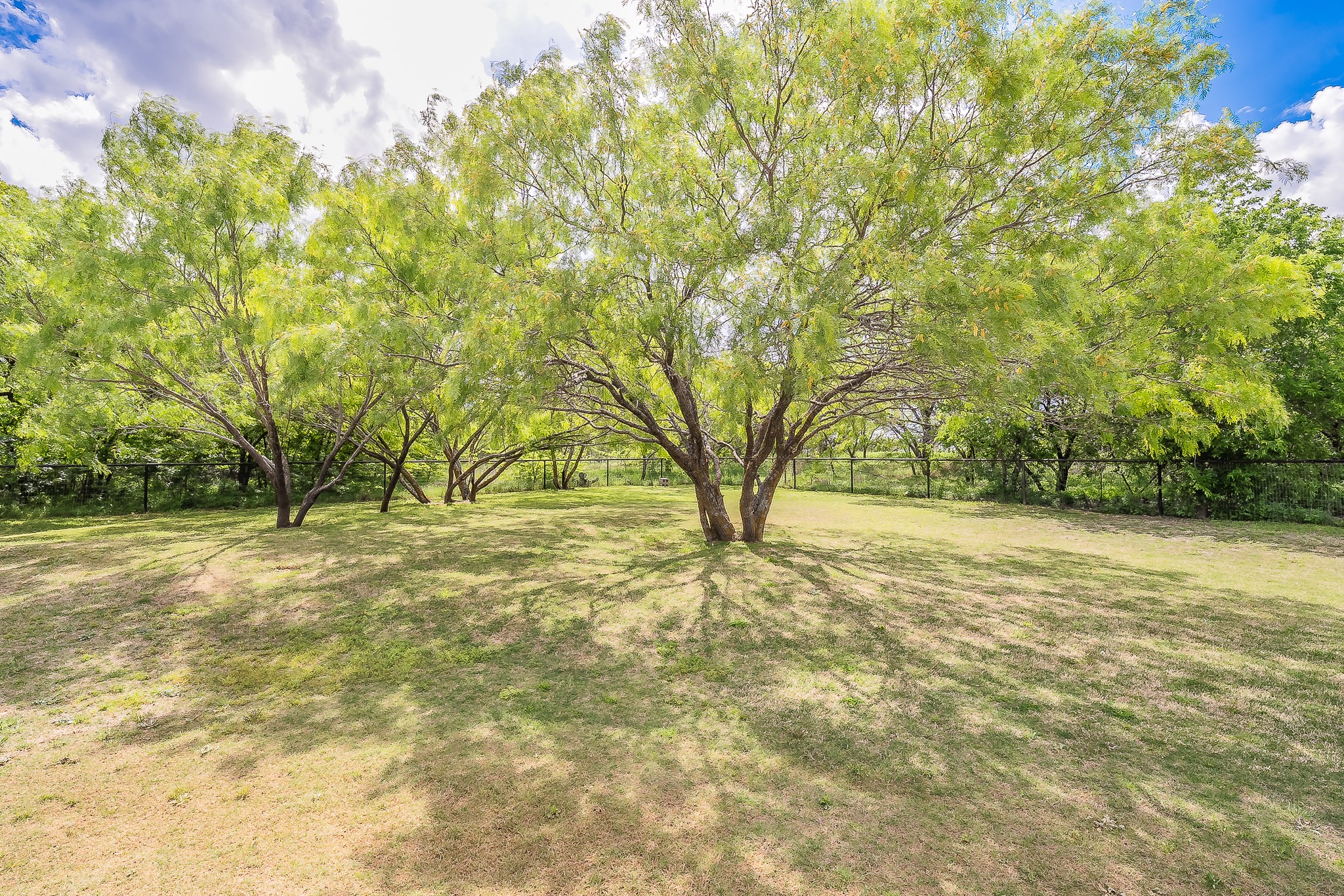 146 Buddy Court Millsap TX 76066