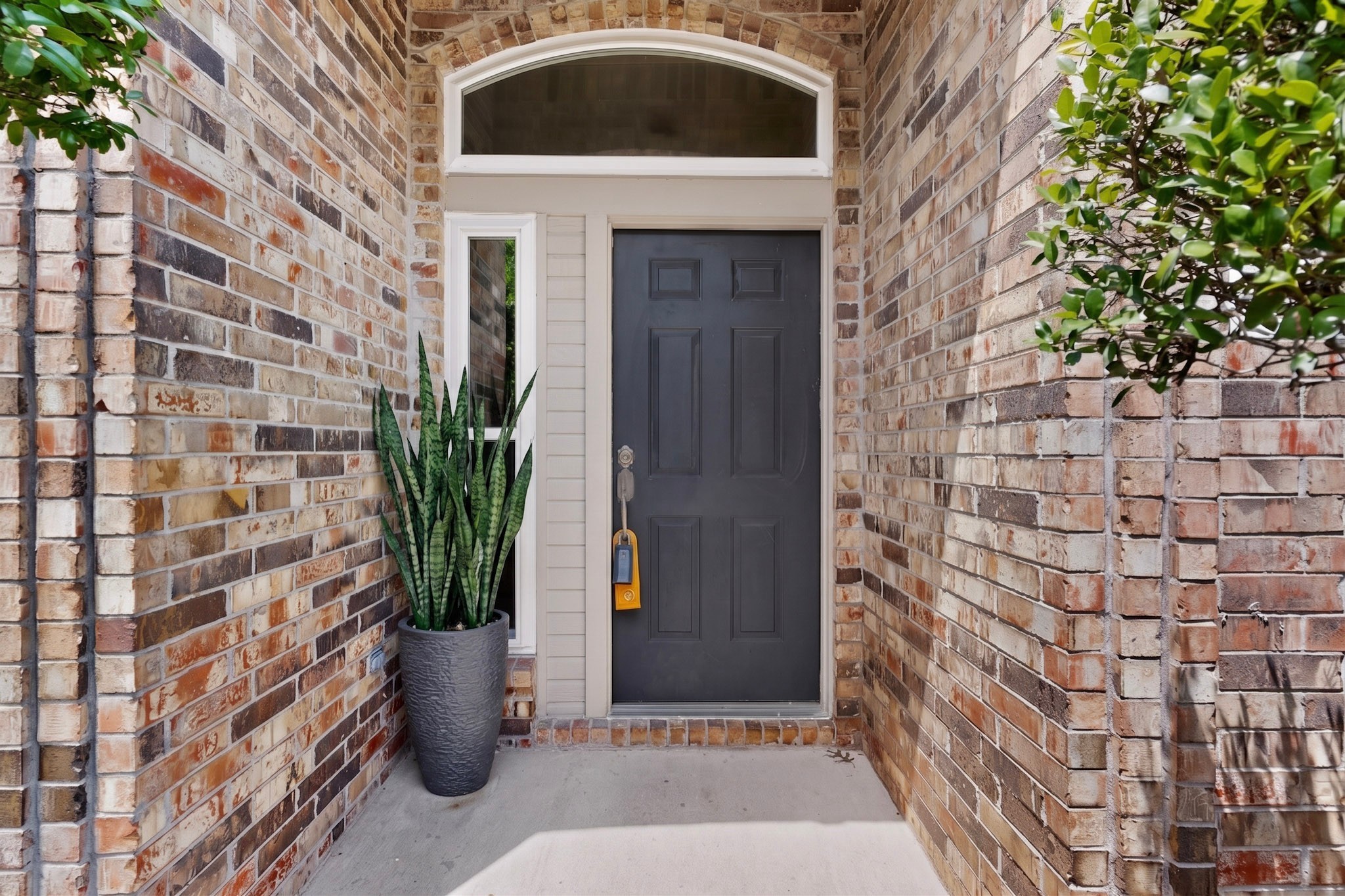 8205 Burleigh Street Frisco TX 75035