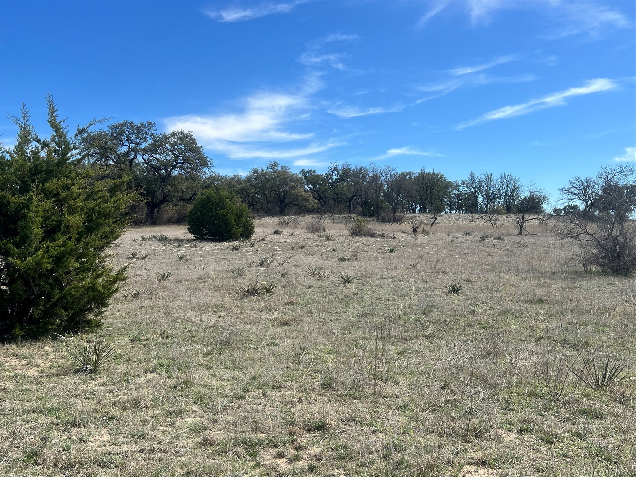 149 Comanche Hills Comanche TX 76442