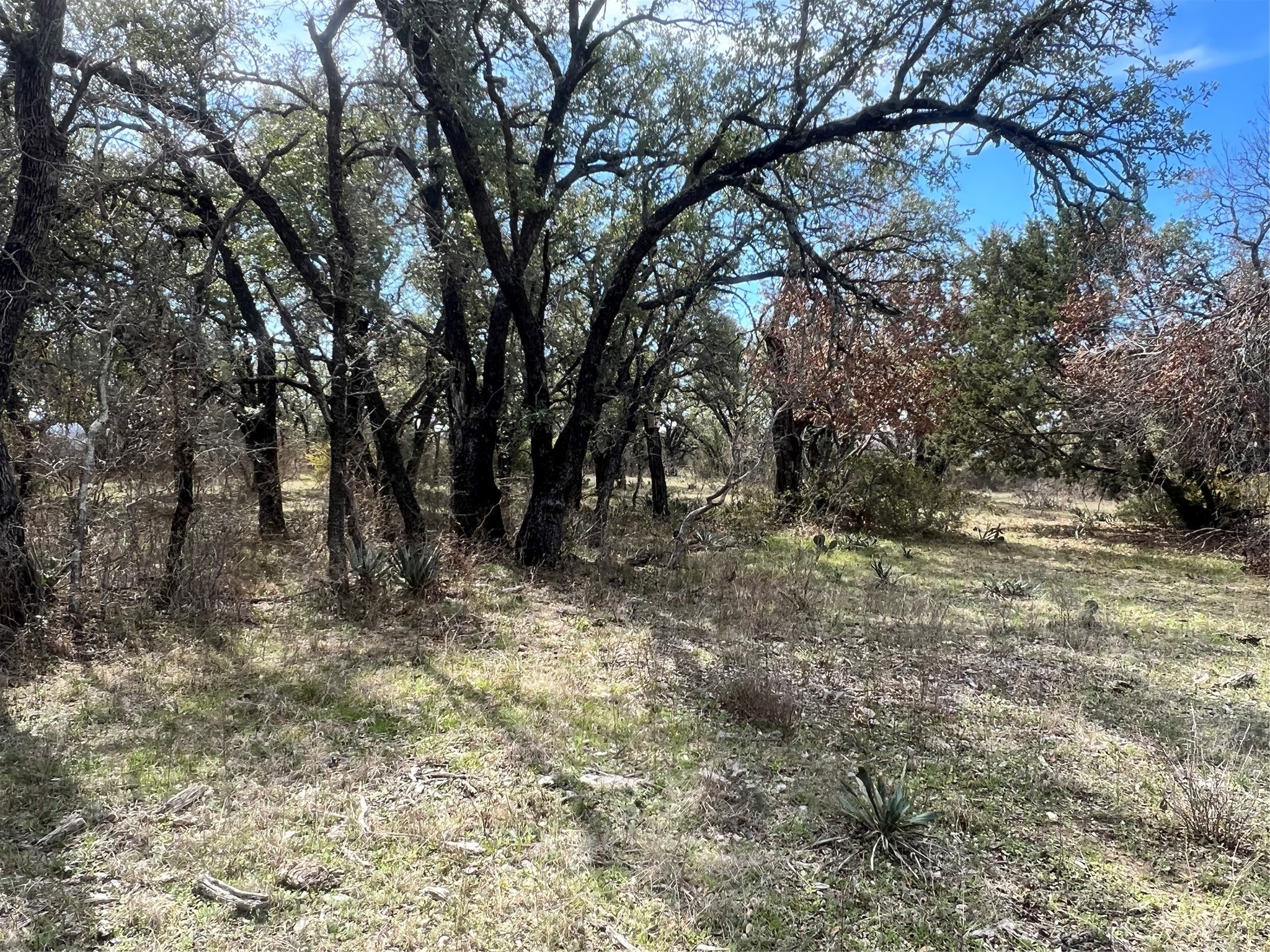 149 Comanche Hills Comanche TX 76442