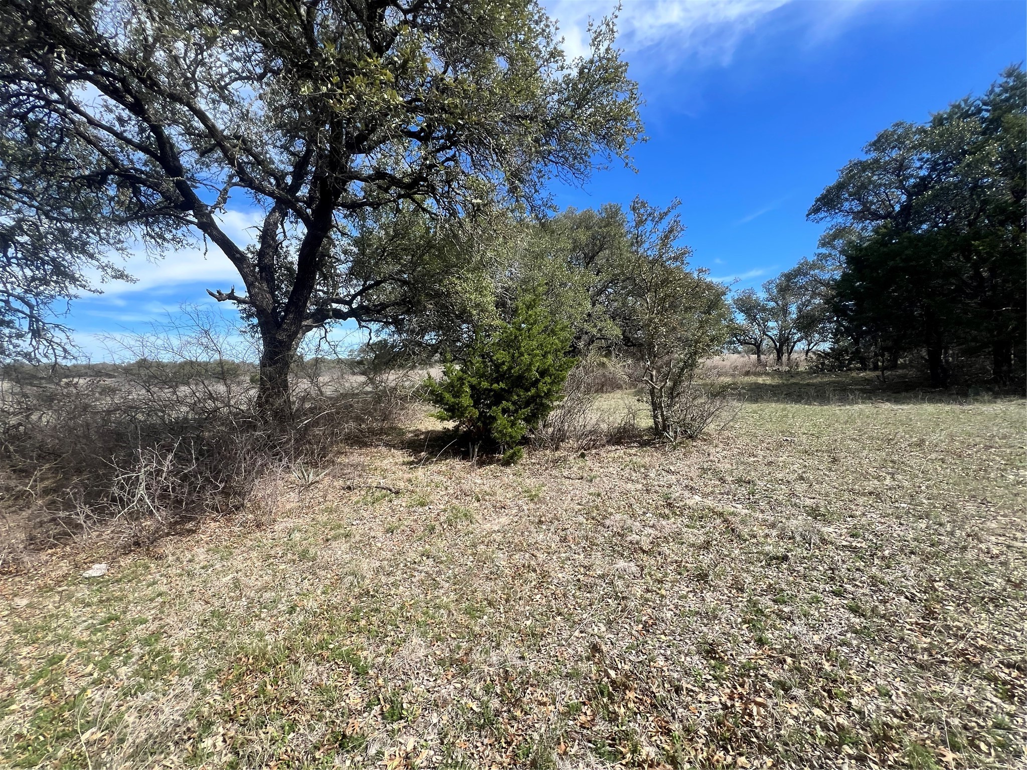 149 Comanche Hills Comanche TX 76442