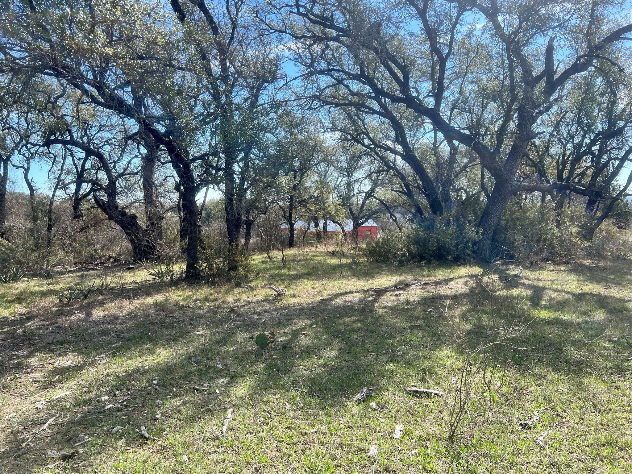 149 Comanche Hills Comanche TX 76442
