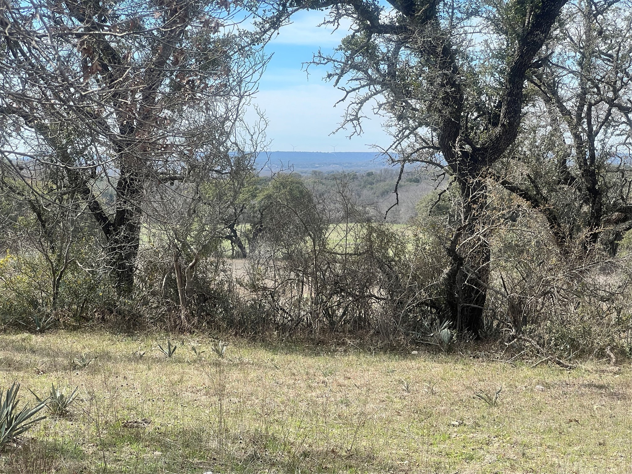 149 Comanche Hills Comanche TX 76442