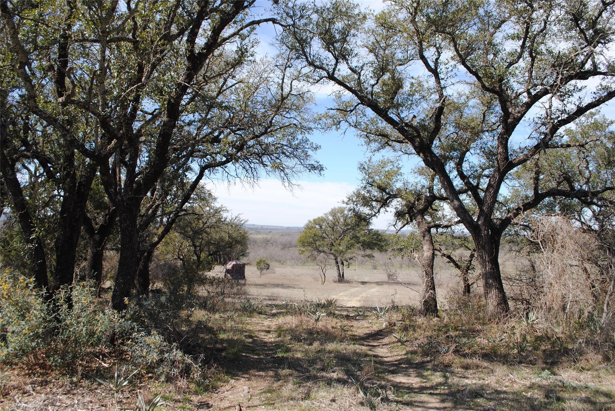 149 Comanche Hills Comanche TX 76442