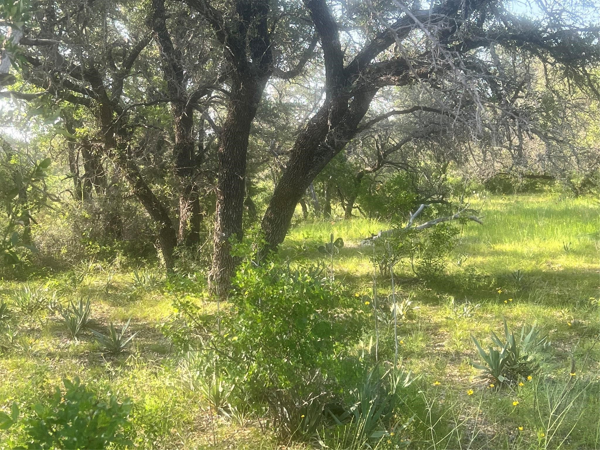149 Comanche Hills Comanche TX 76442