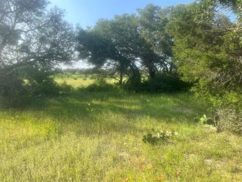 149 Comanche Hills Comanche TX 76442