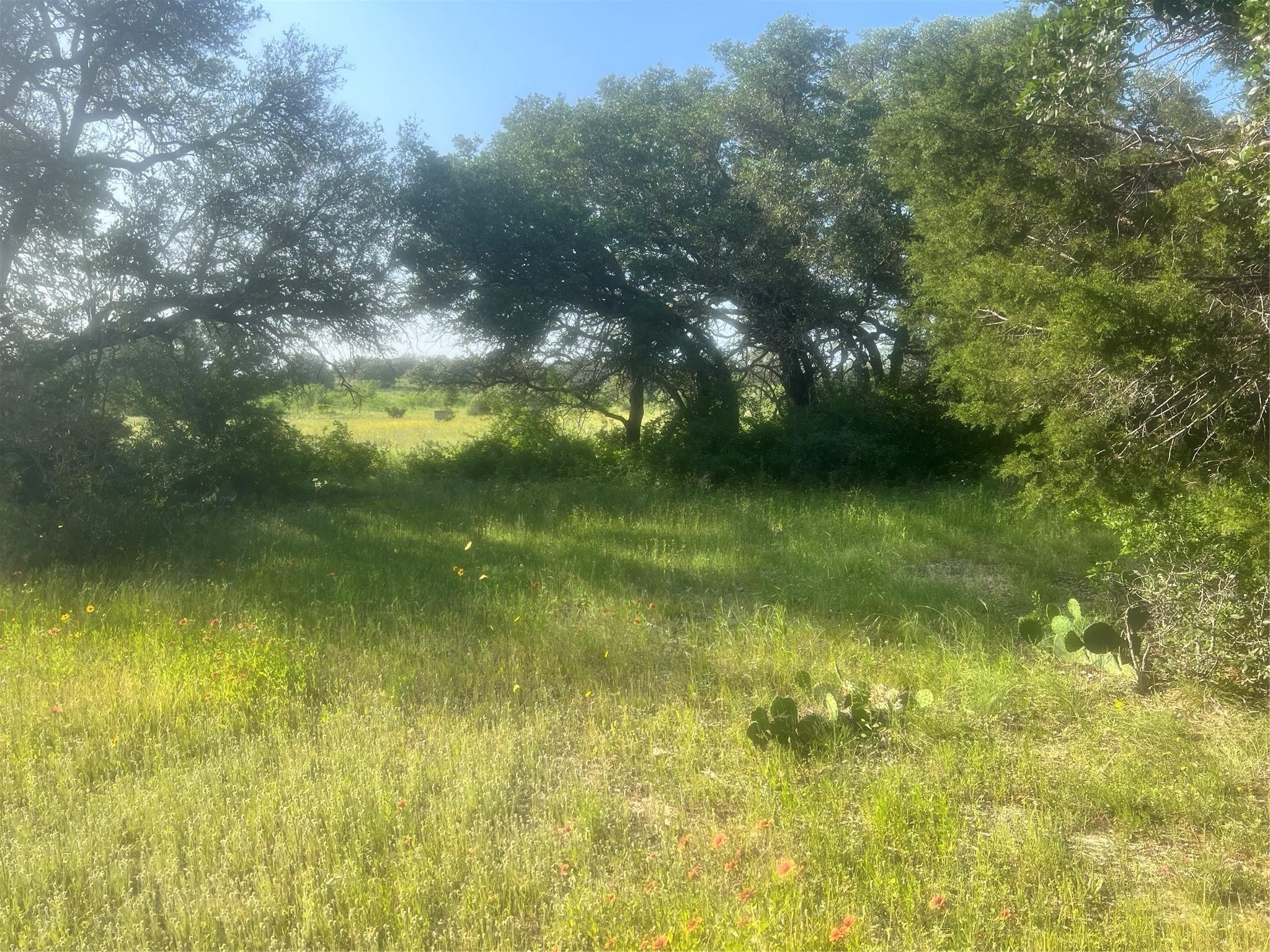 149 Comanche Hills Comanche TX 76442