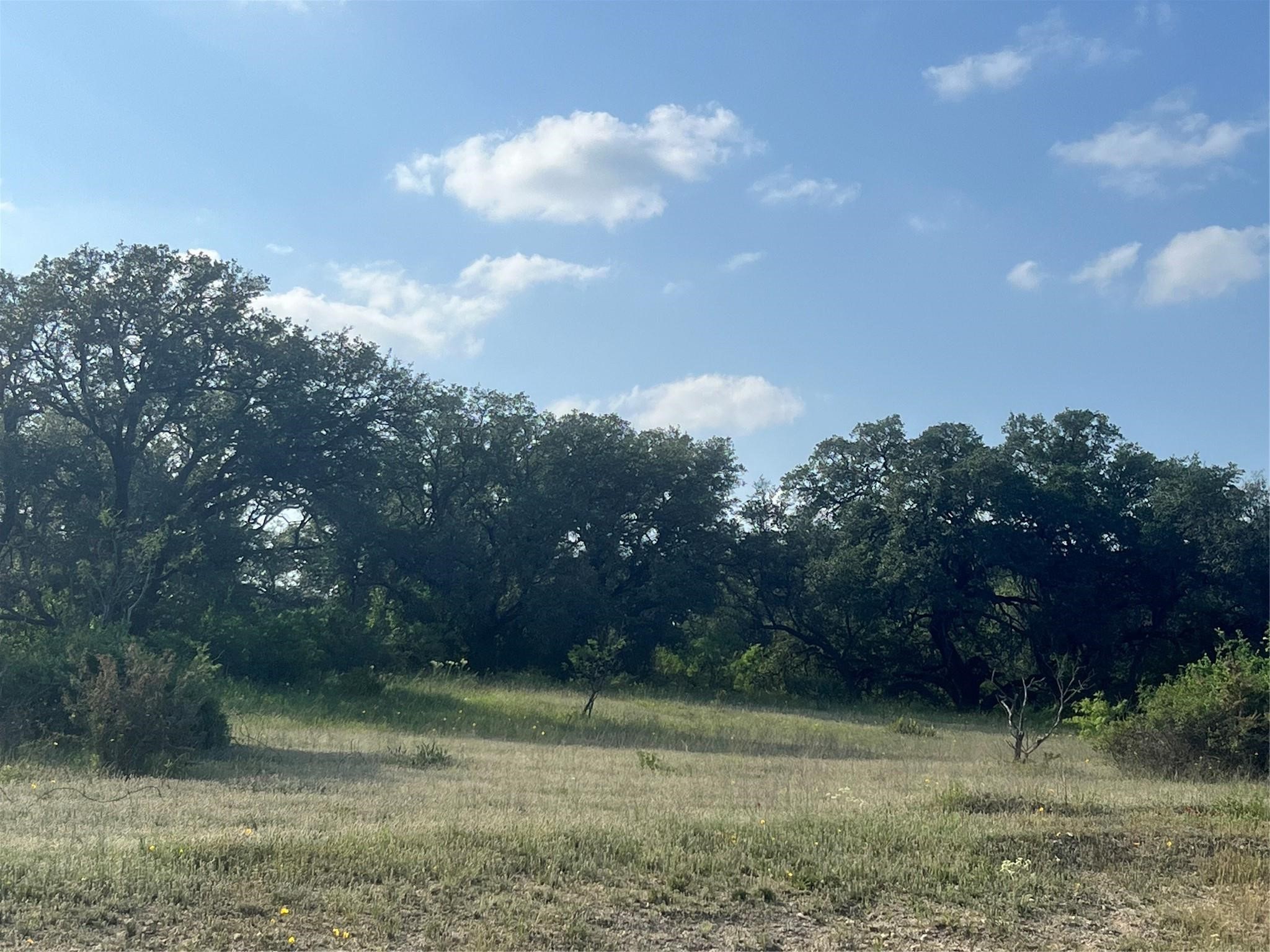 149 Comanche Hills Comanche TX 76442