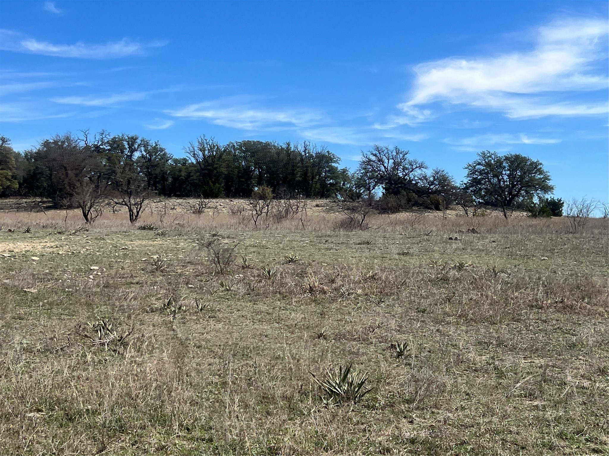 149 Comanche Hills Comanche TX 76442