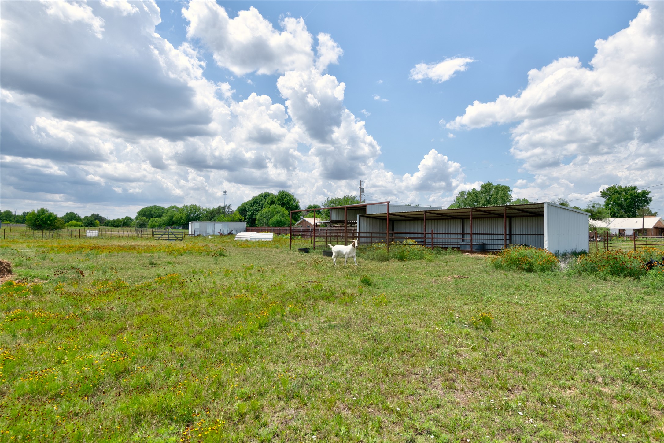 1505 County Road 631 Clyde TX 79510