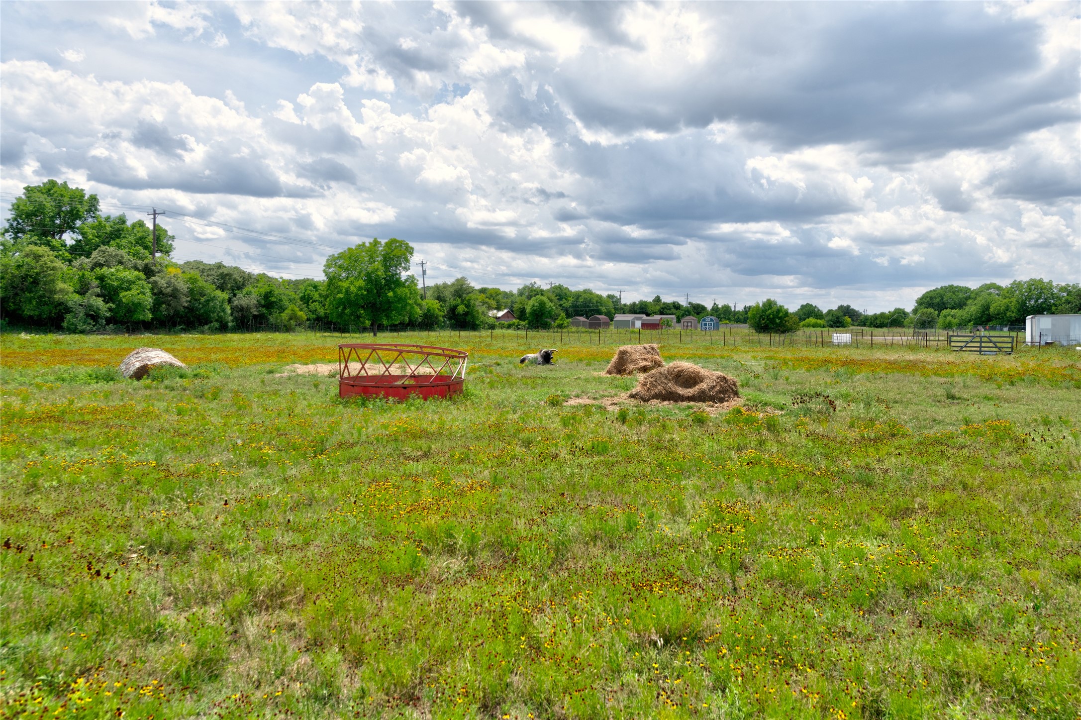 1505 County Road 631 Clyde TX 79510