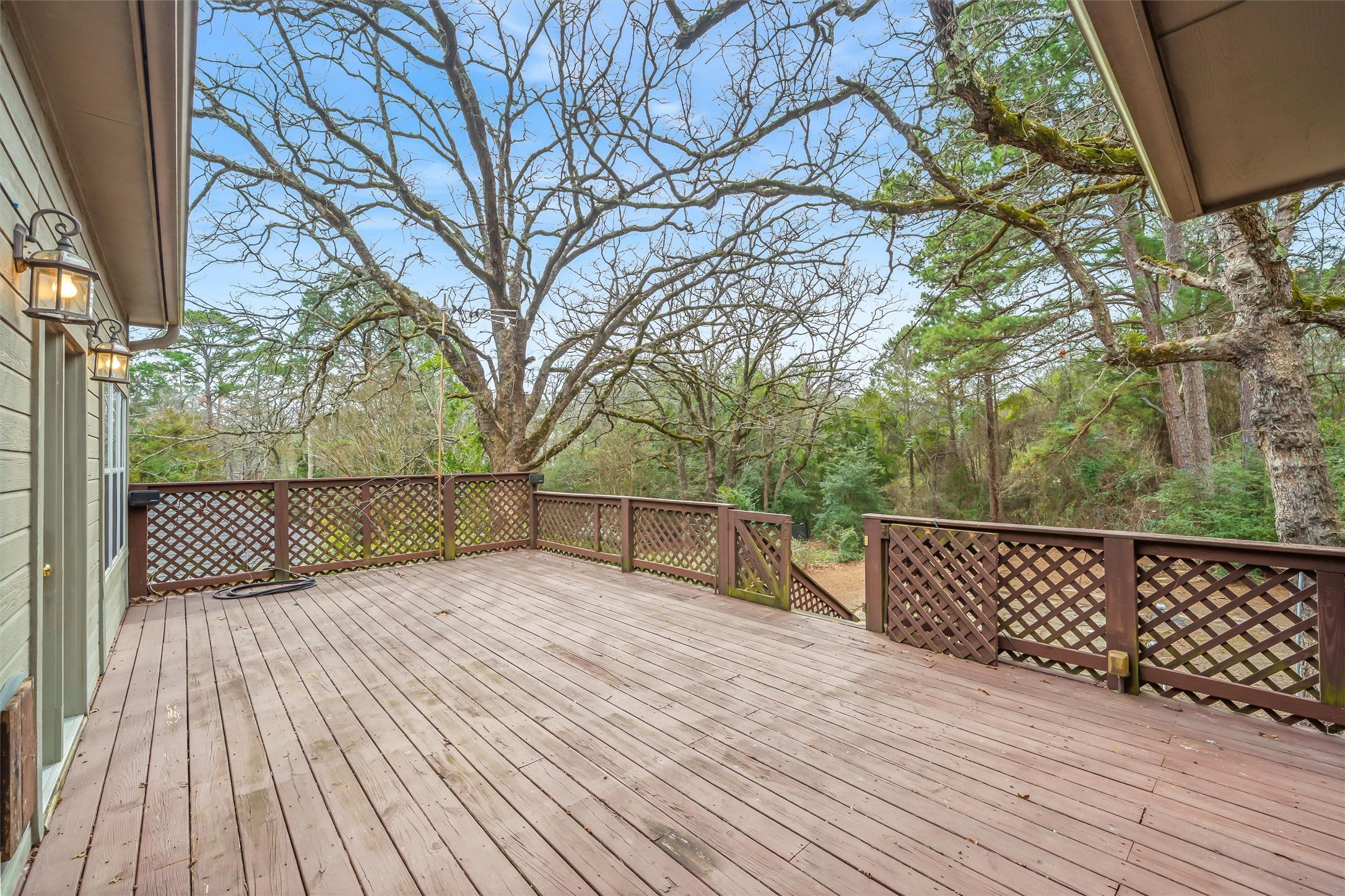 1304 Greenbriar Trail Holly Lake Ranch TX 75765