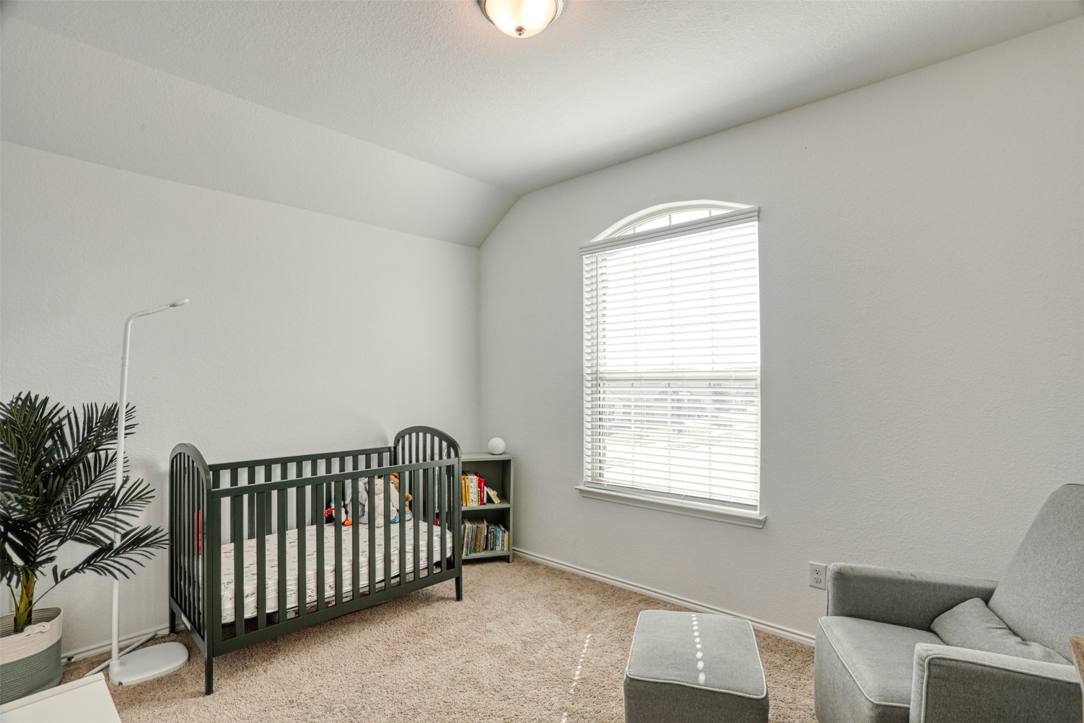 2301 Pyrite Drive Little Elm TX 76227