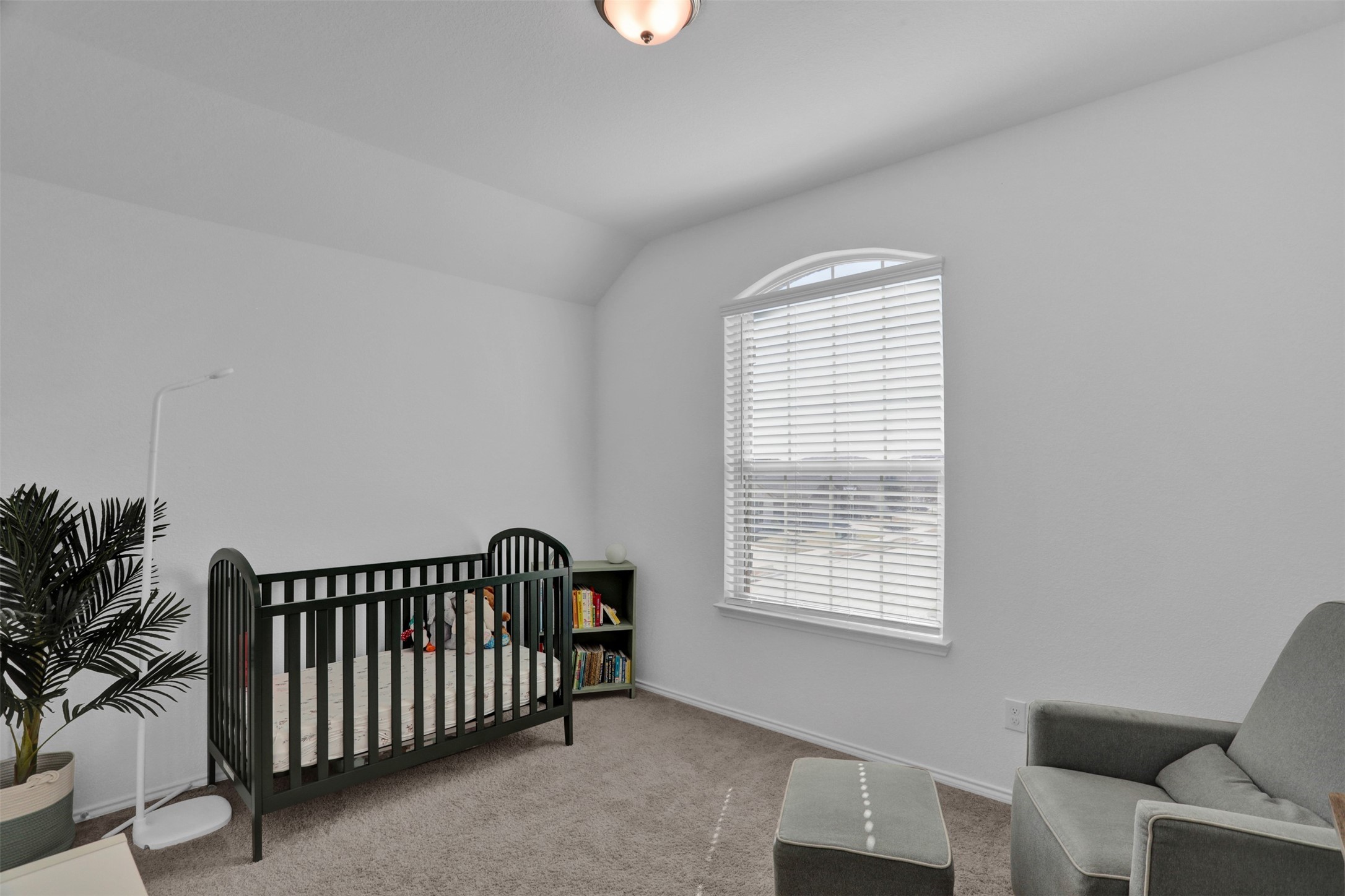 2301 Pyrite Drive Little Elm TX 76227