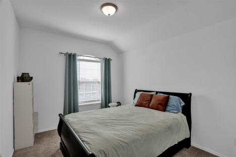 2301 Pyrite Drive Little Elm TX 76227