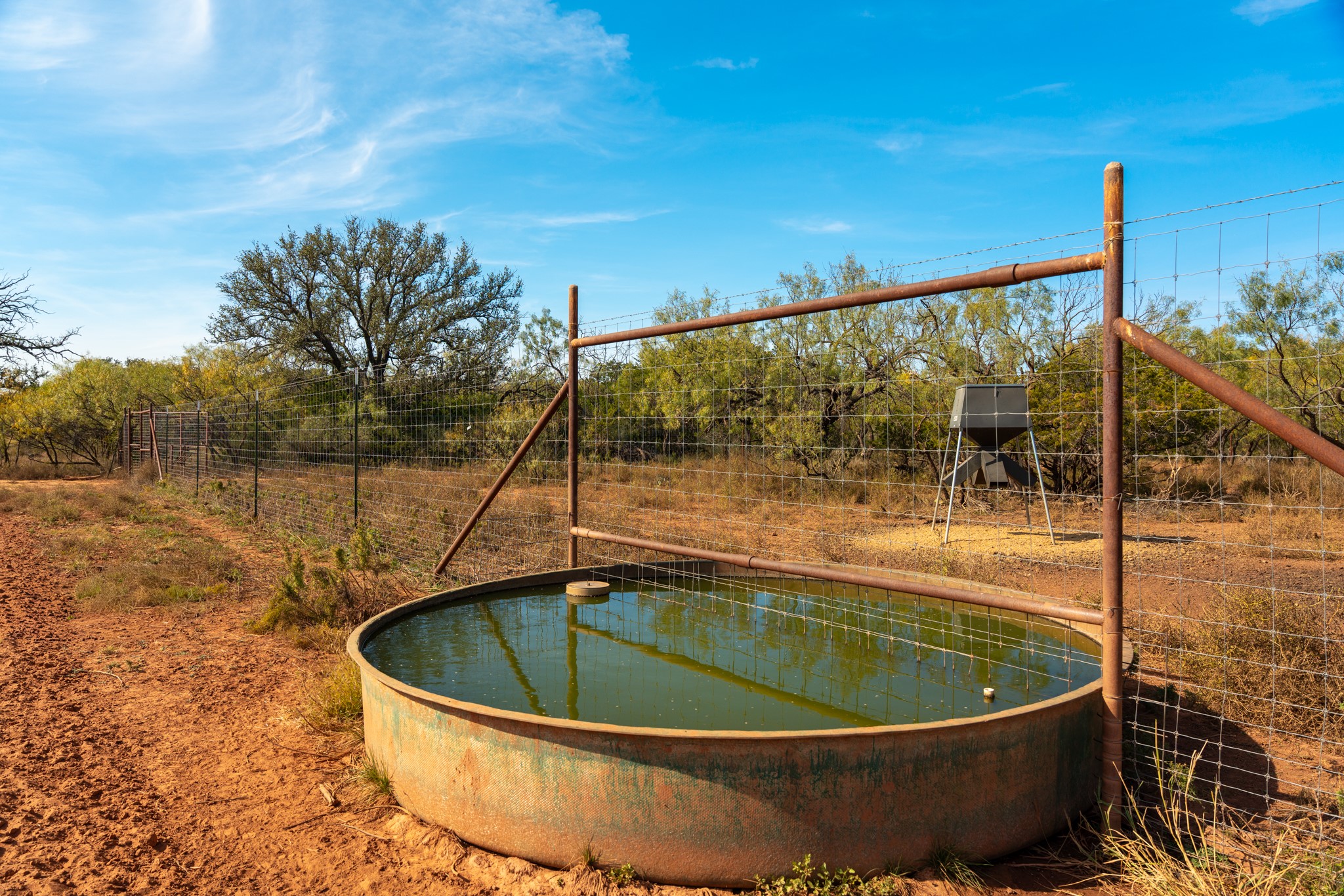 BUFFALO4 Ranch Cr 290 Blackwell TX 79506