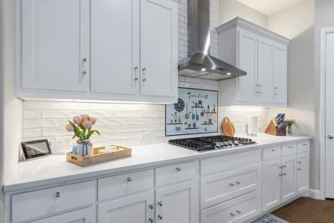 15931 Terenwood Street Frisco TX 75035