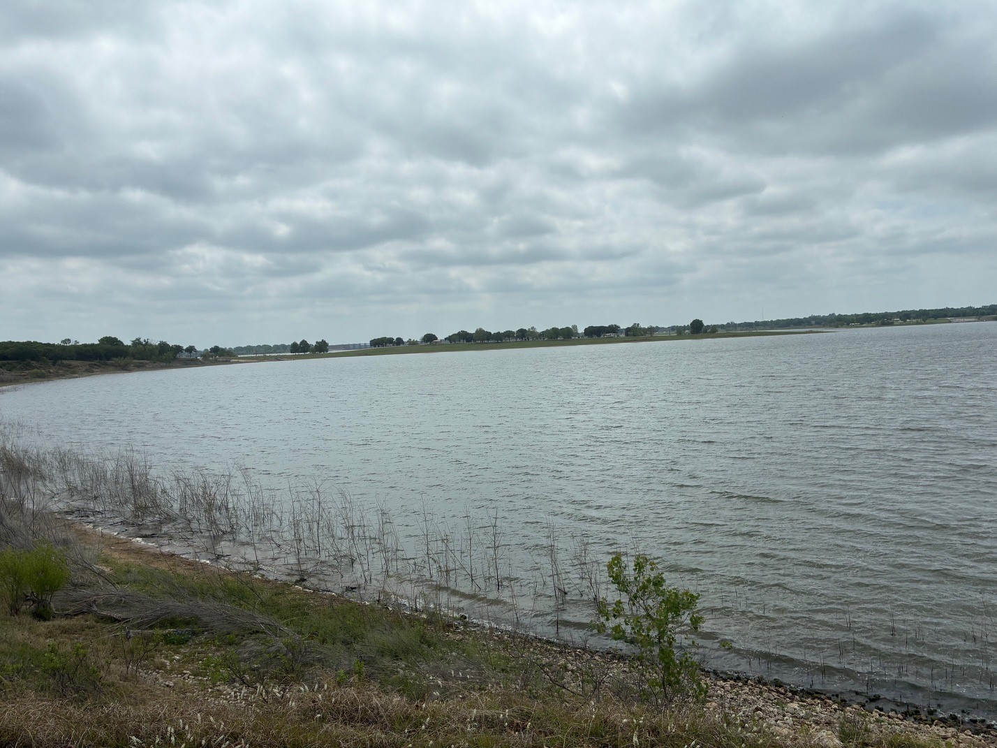 Tbd Port Royal Road Comanche TX 76442