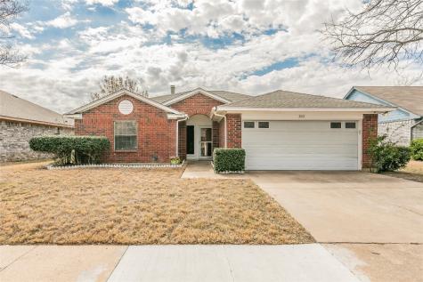 3313 Misty Valley Drive Fort Worth TX 76123