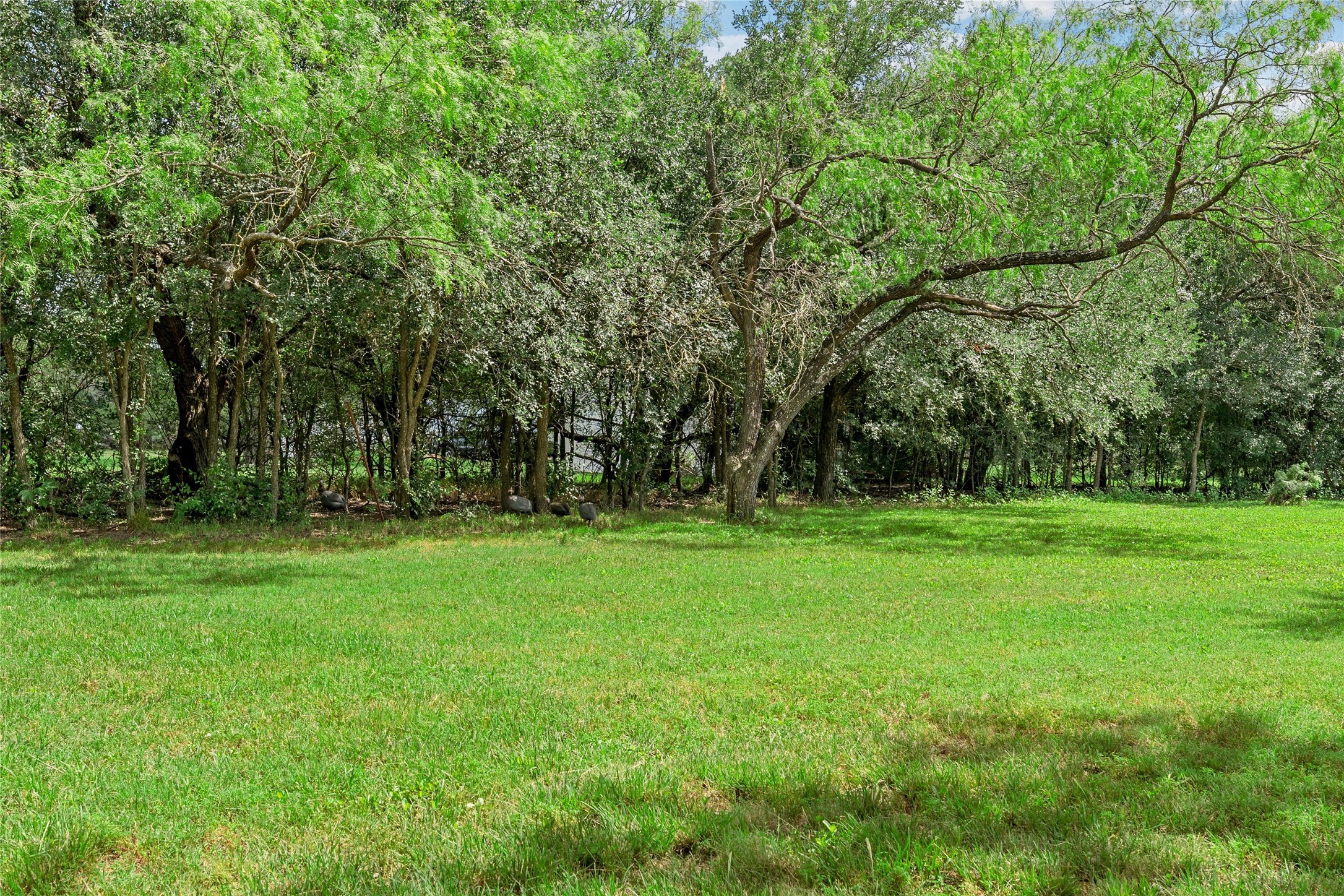 235 Country Drive Waco TX 76705