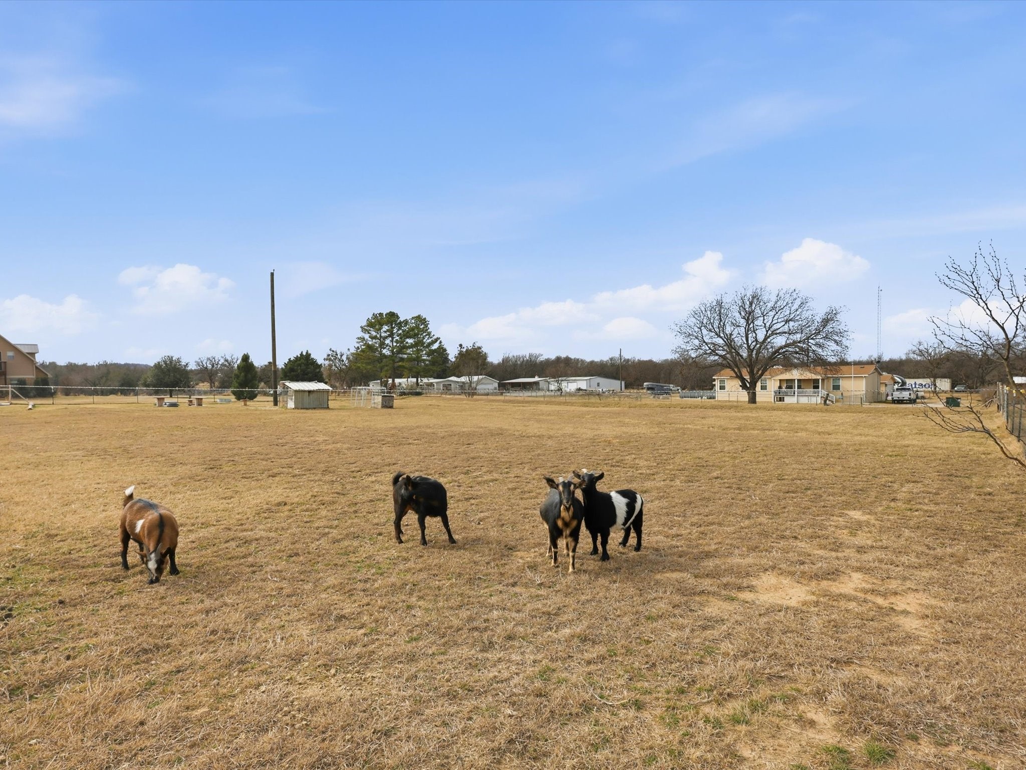 107 Private Road 3421 Bridgeport TX 76426