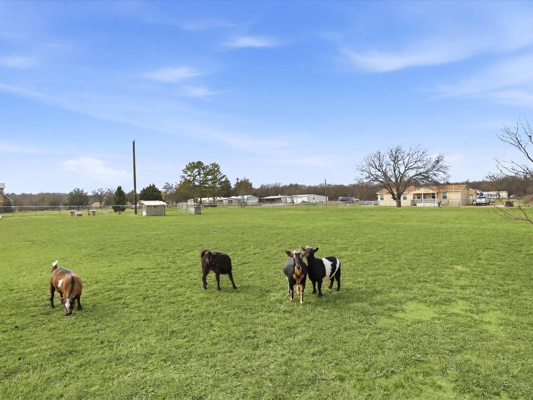 107 Private Road 3421 Bridgeport TX 76426