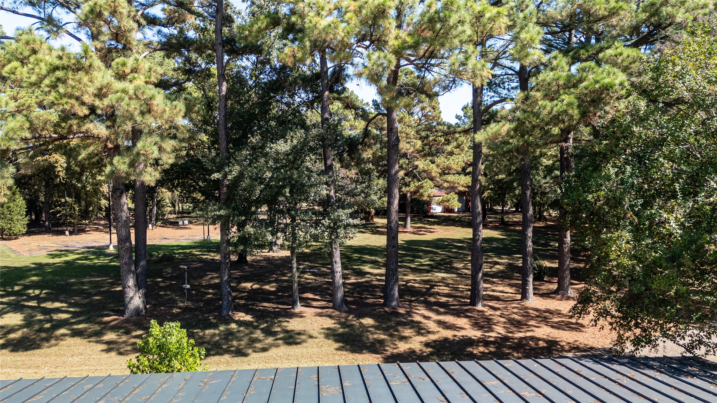 100 Letha Drive Trinidad TX 75163