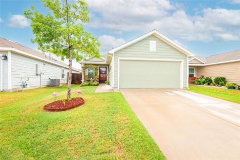 3217 Mountain Lion Avenue Mckinney TX 75071