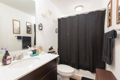 3217 Mountain Lion Avenue Mckinney TX 75071