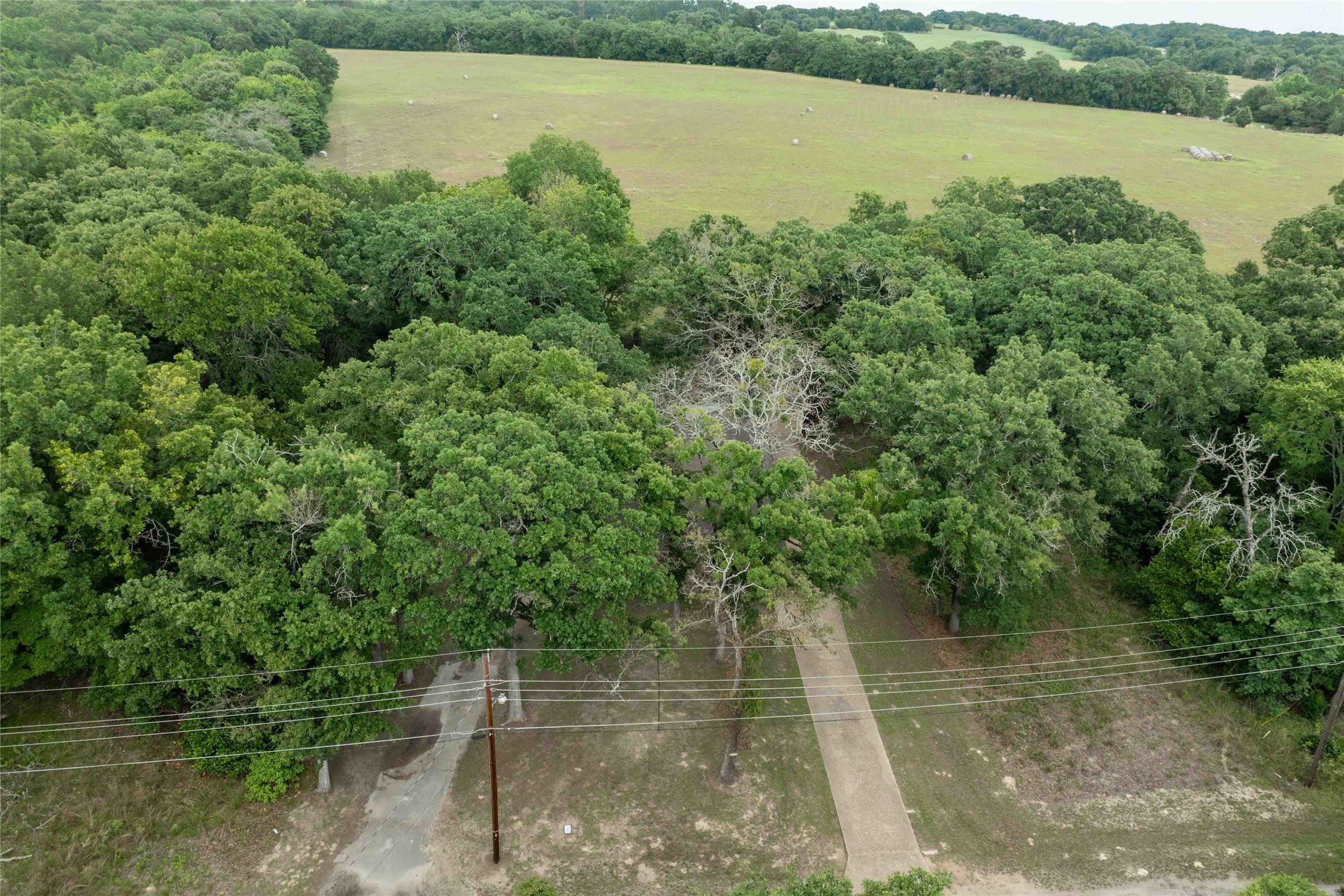 530 Holly Glen Murchison TX 75778