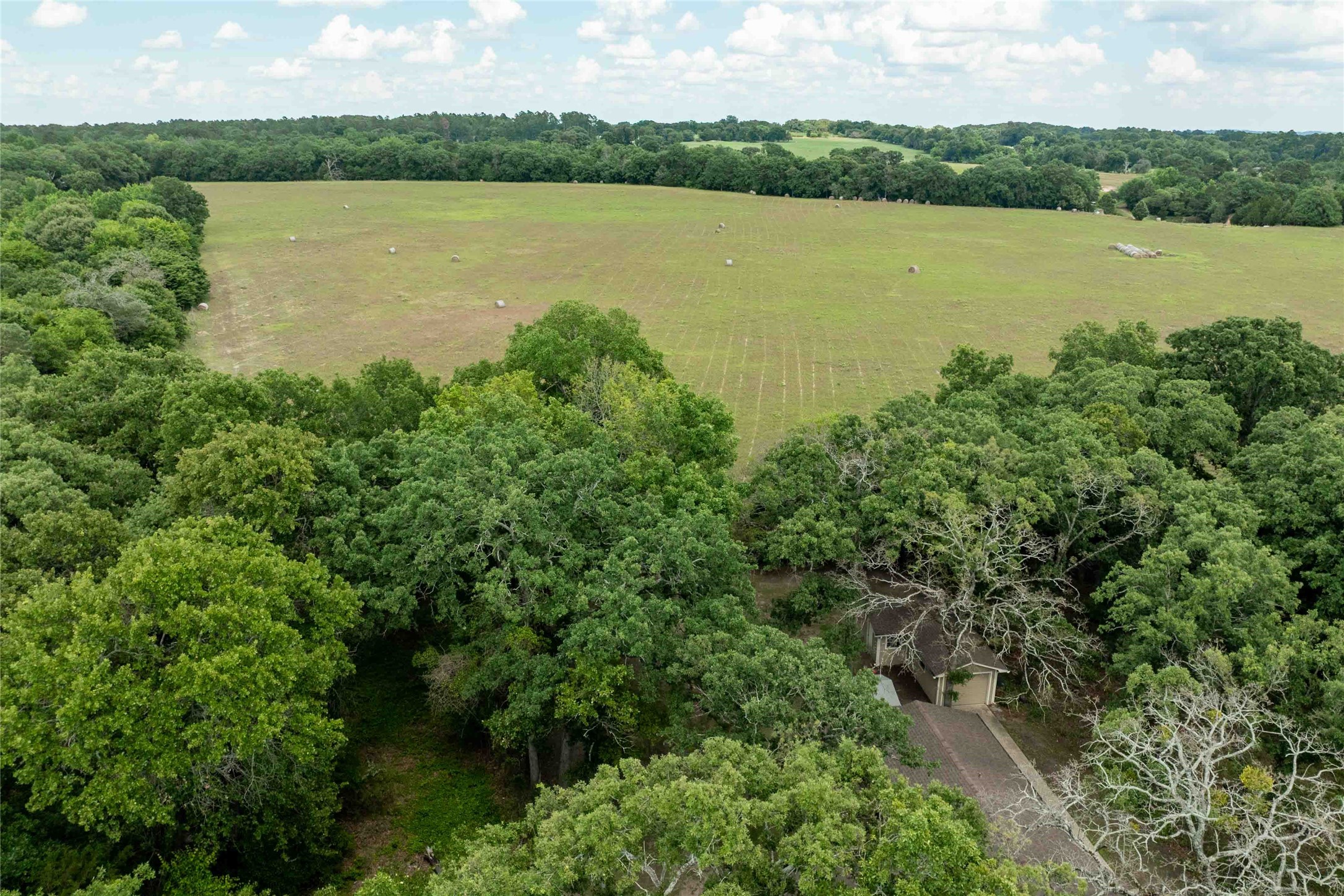 530 Holly Glen Murchison TX 75778