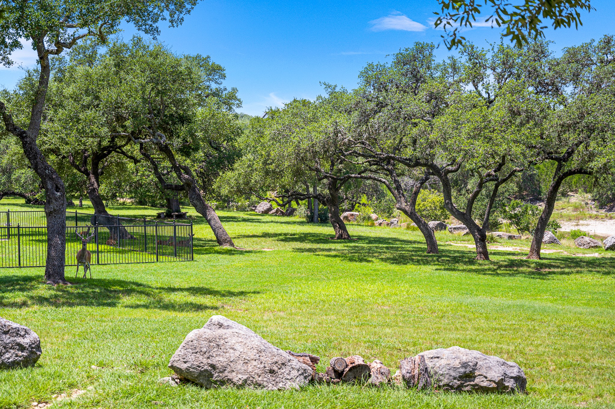 690 Kings Point Drive Canyon Lake TX 78133