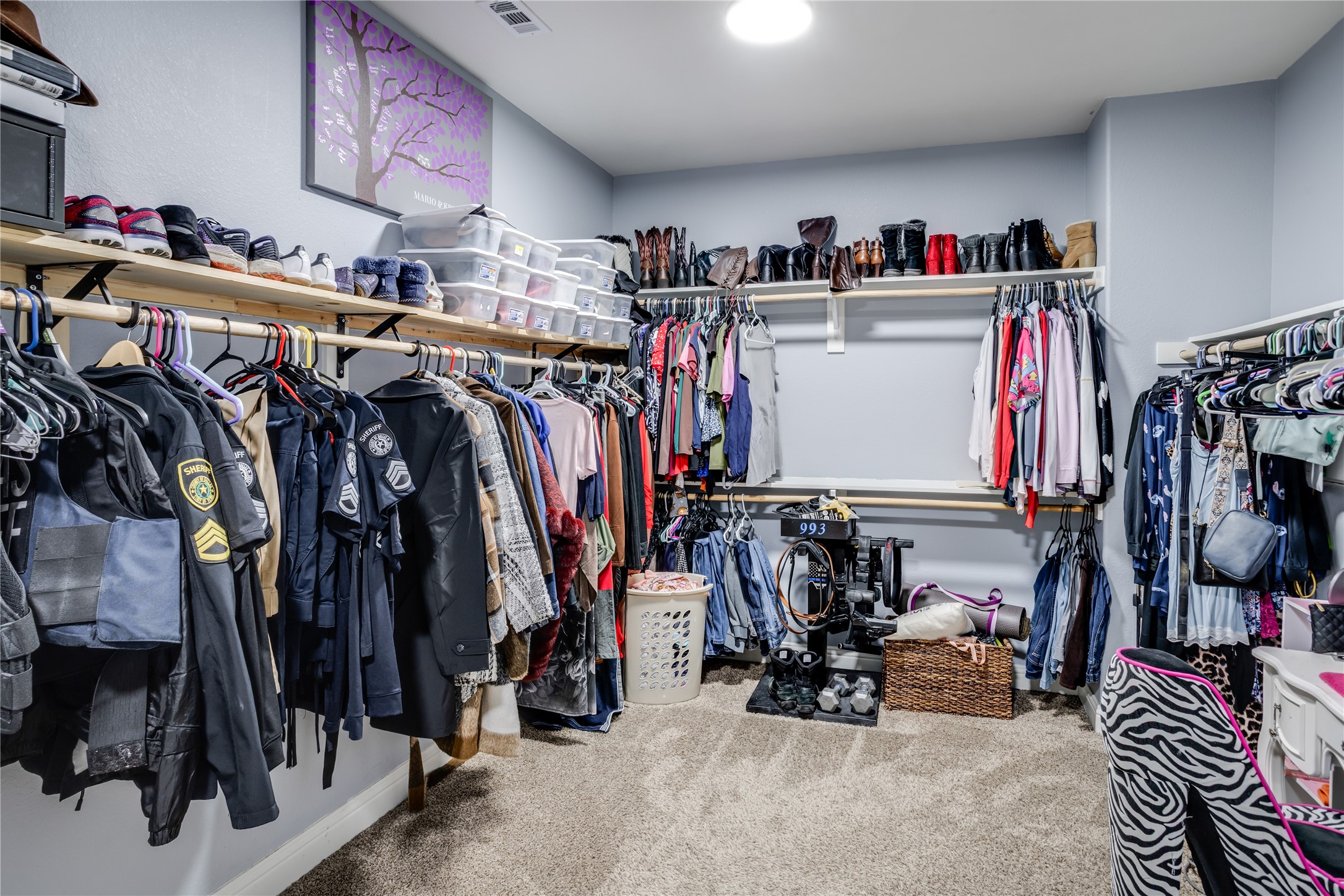 248 Georgetown Drive Forney TX 75126