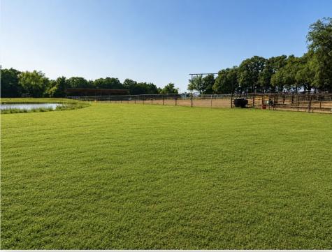 2801 County Road 115 Whitesboro TX 76273