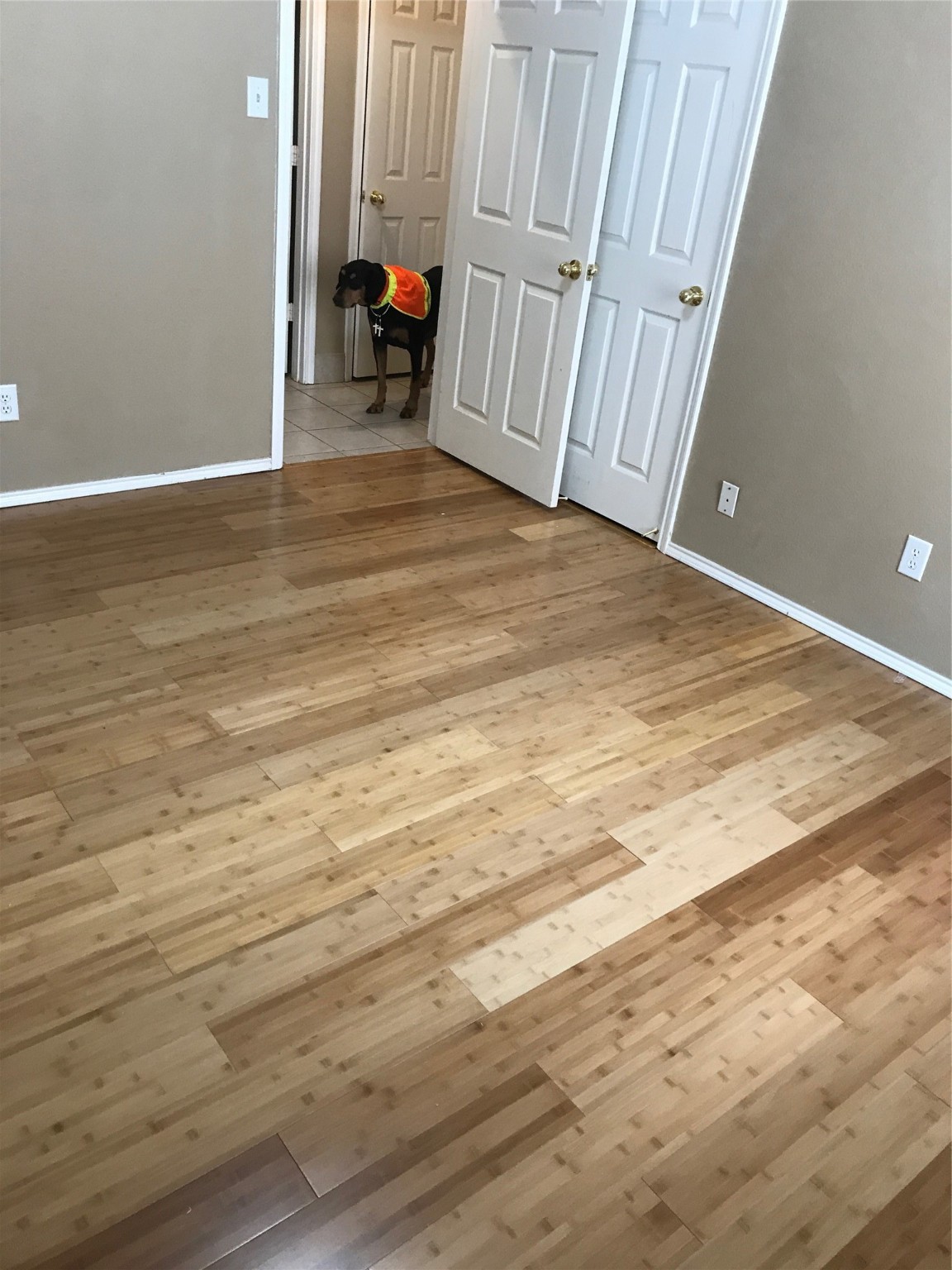 524 Caravan Drive Fort Worth TX 76131