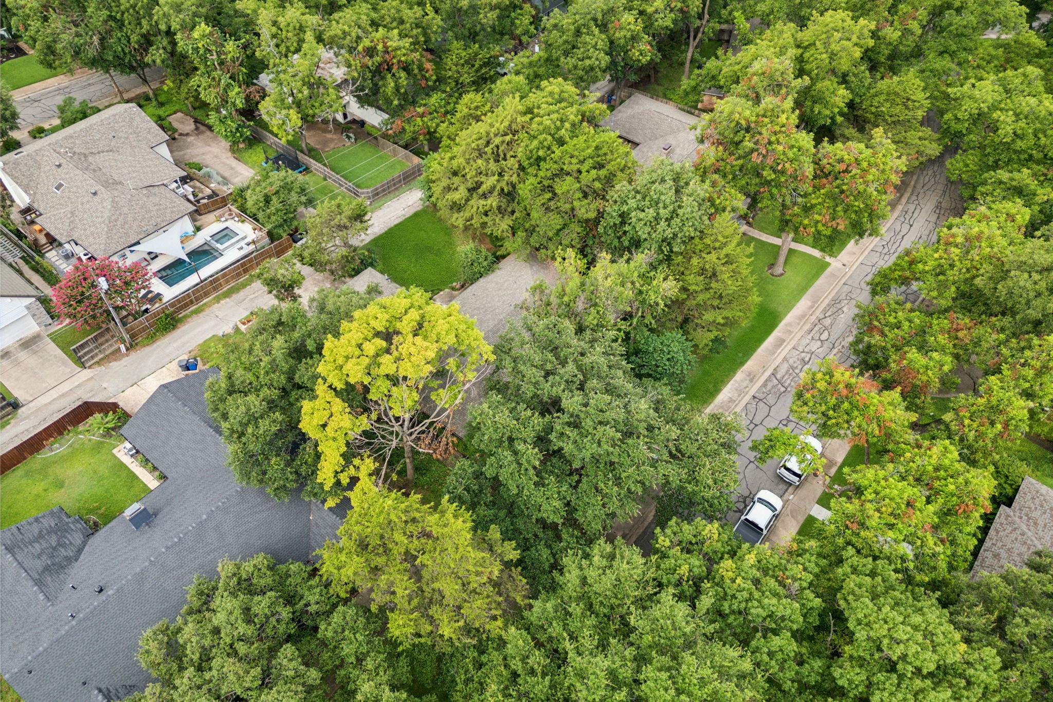 10828 Lochspring Drive Dallas TX 75218