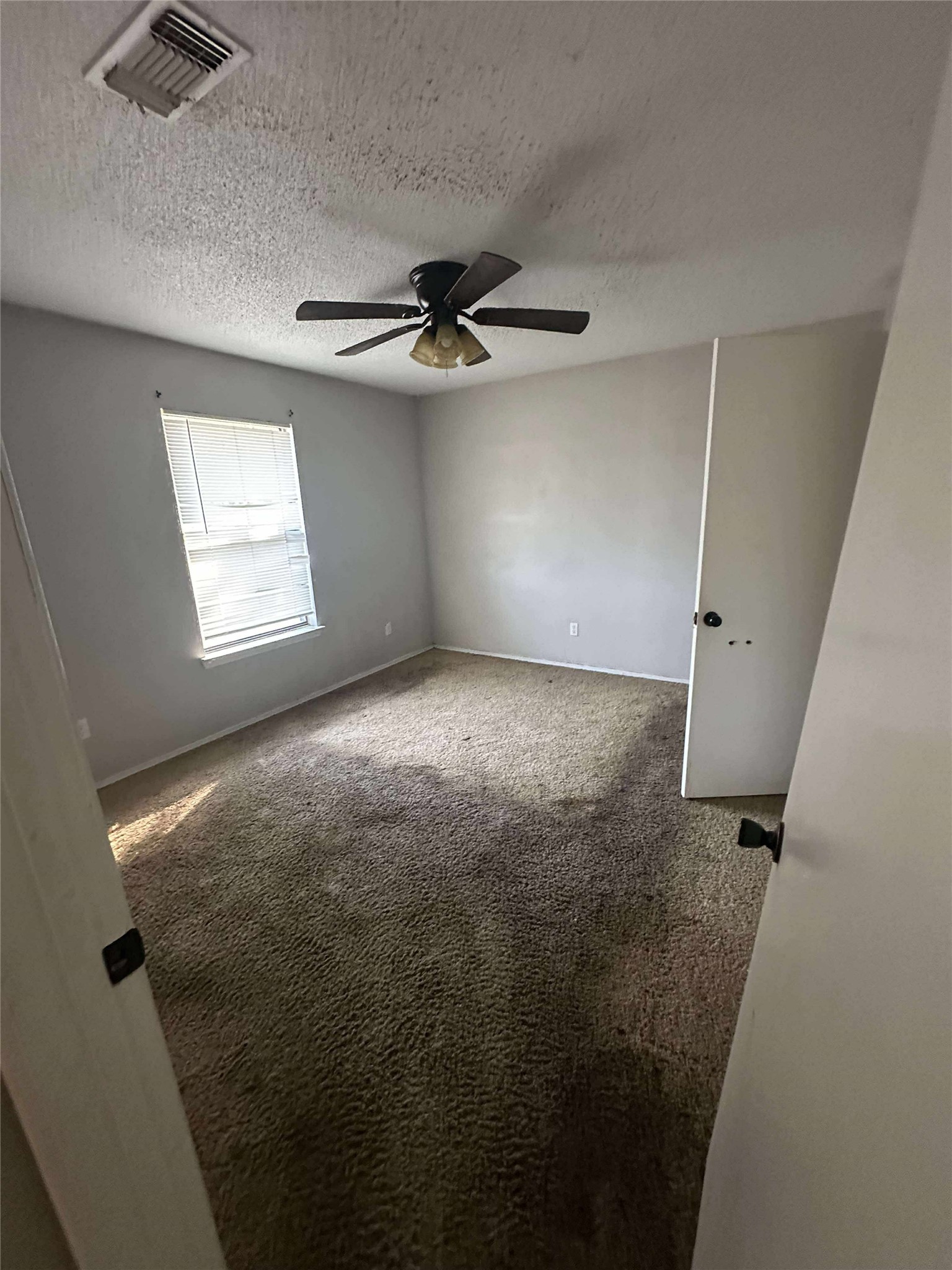 1009 Camp Street Sulphur Springs TX 75482
