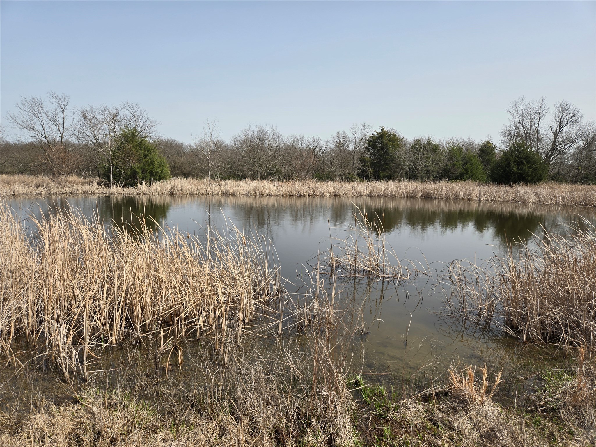 1001 N Atkins Drive Celeste TX 75423