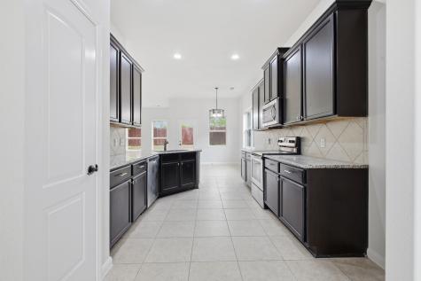 717 Roaring Springs Drive Glenn Heights TX 75154
