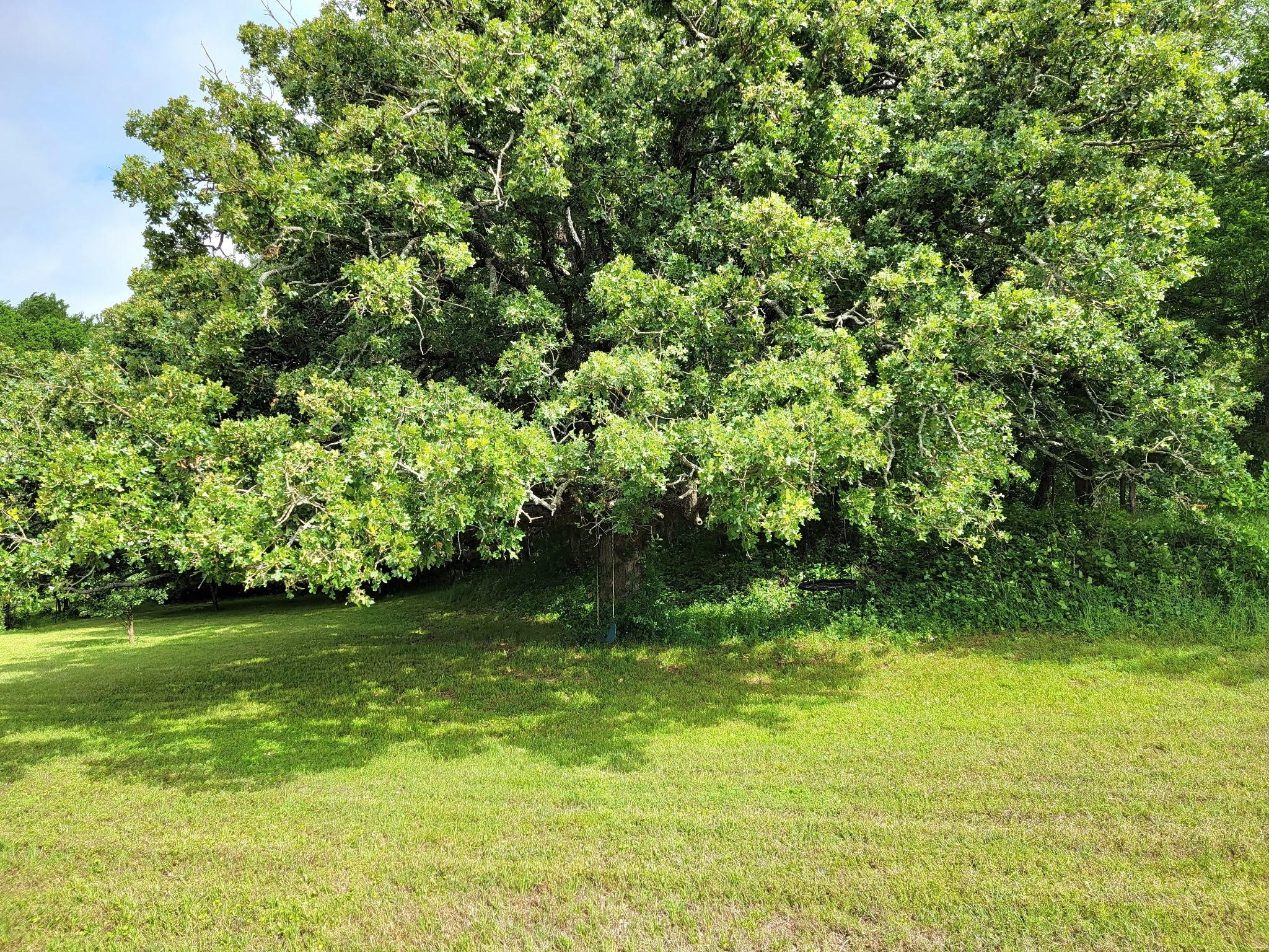 5768 Fm 1569 Farmersville TX 75442