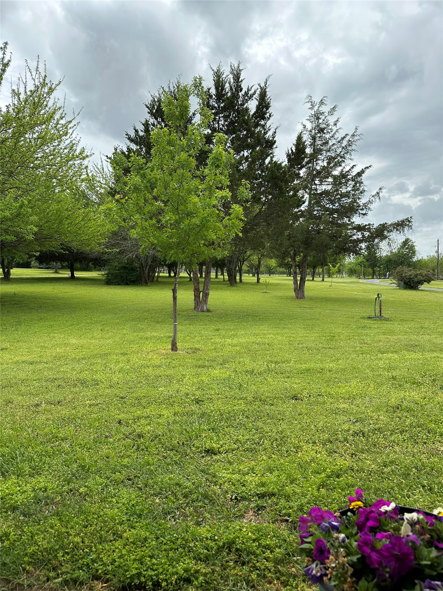 5768 Fm 1569 Farmersville TX 75442