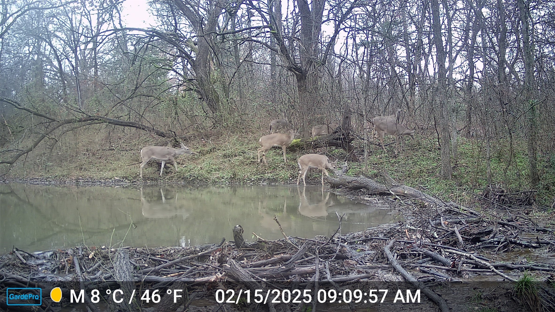 6514 Joyce Lane Sherman TX 75092