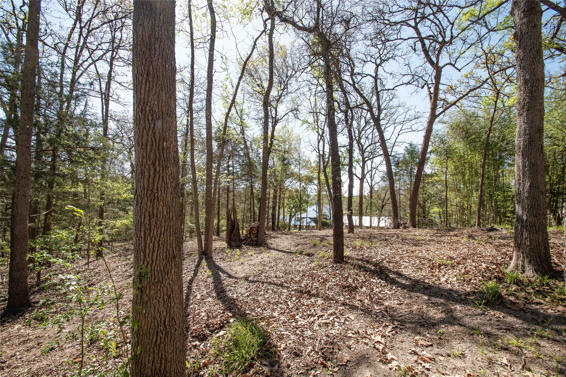 1024 Summit Ridge Murchison TX 75778
