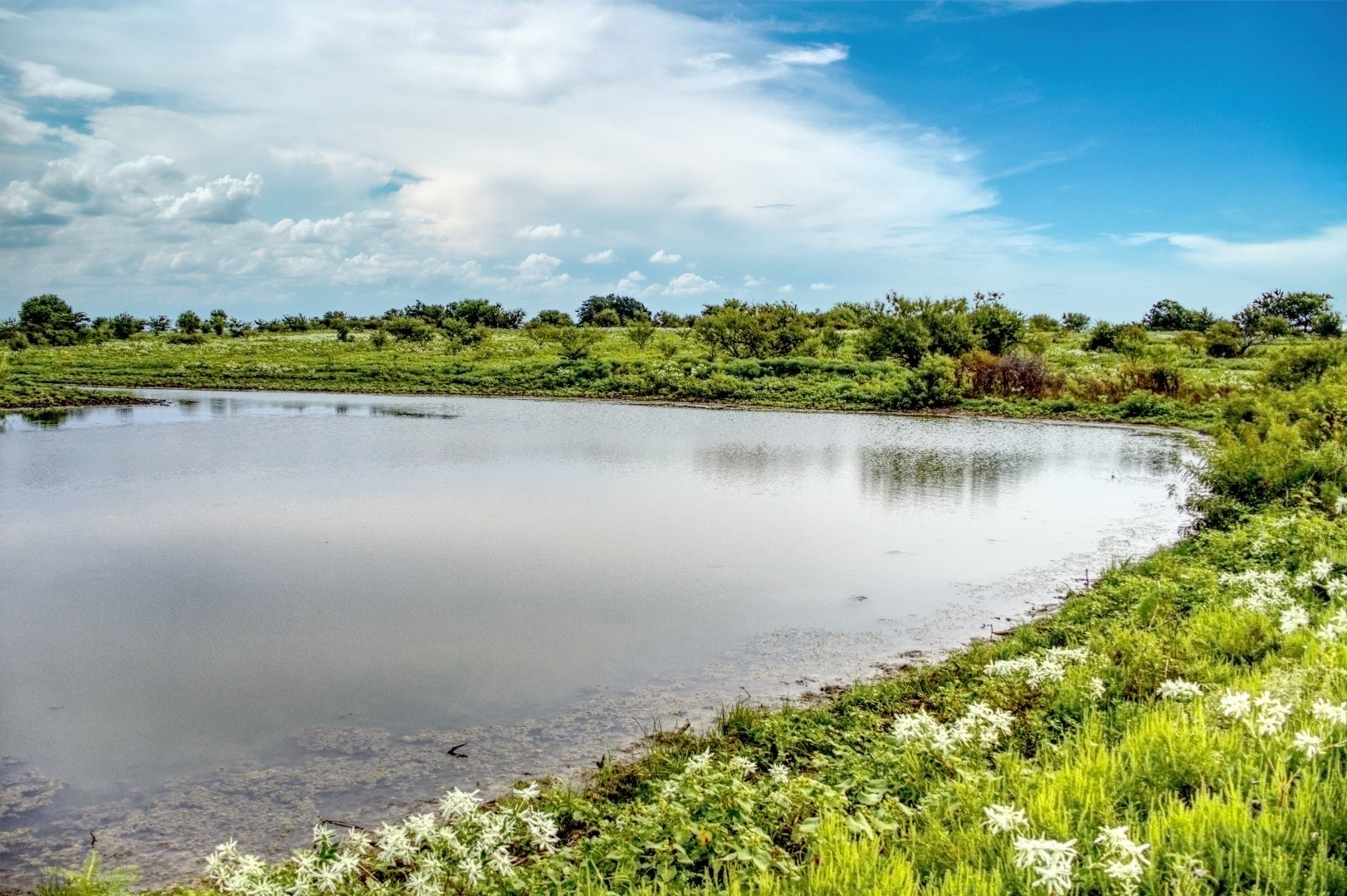 5350 Upper Denton Road Weatherford TX 76085