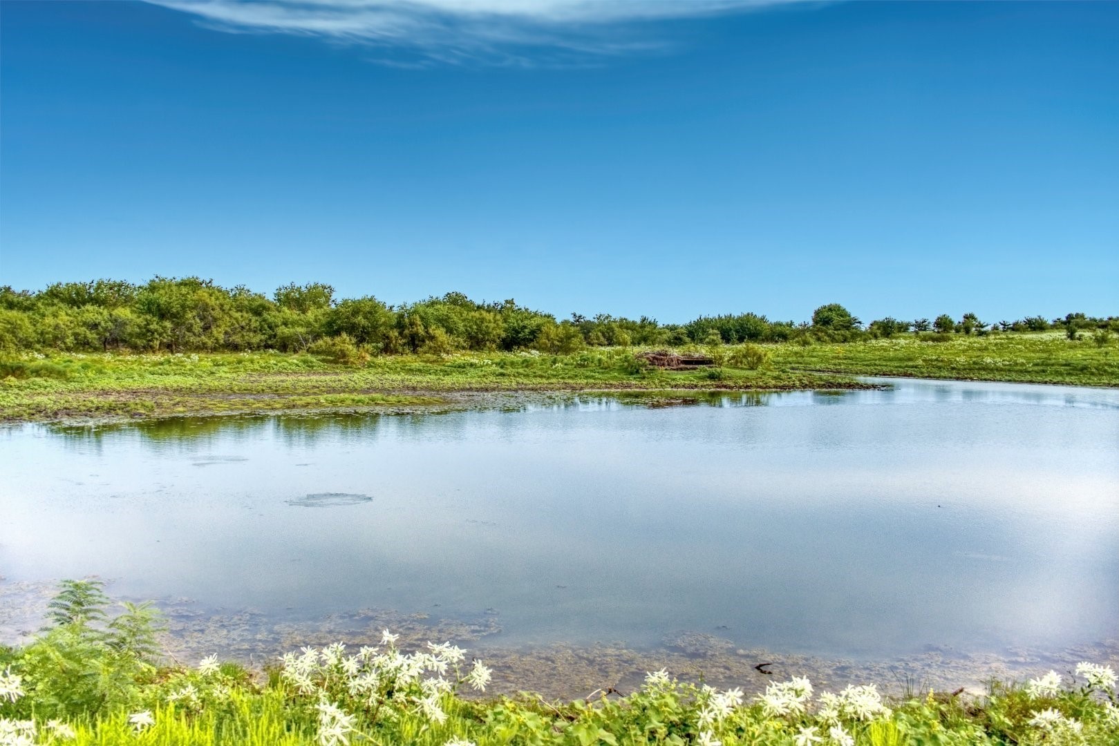 5350 Upper Denton Road Weatherford TX 76085