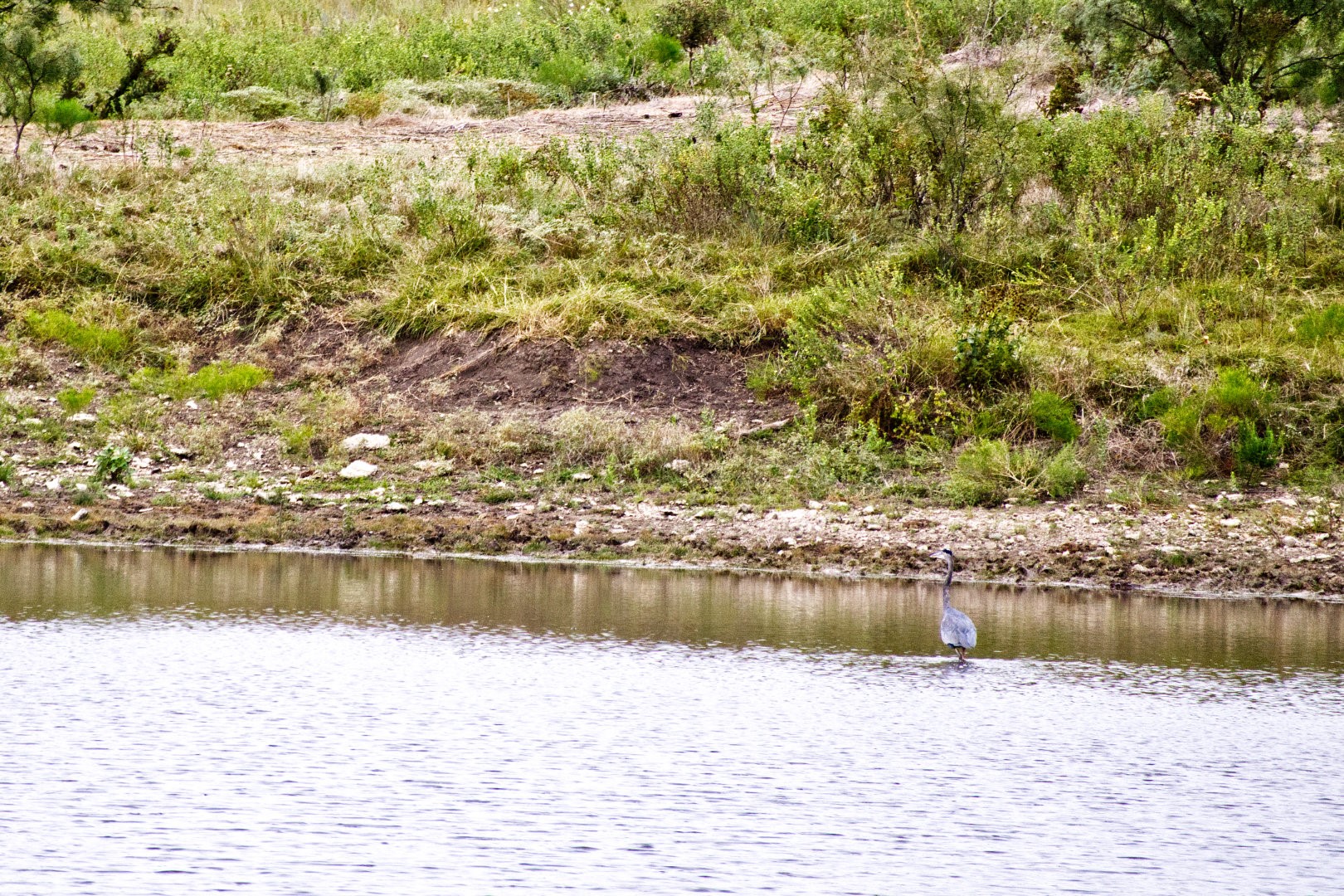 5350 Upper Denton Road Weatherford TX 76085