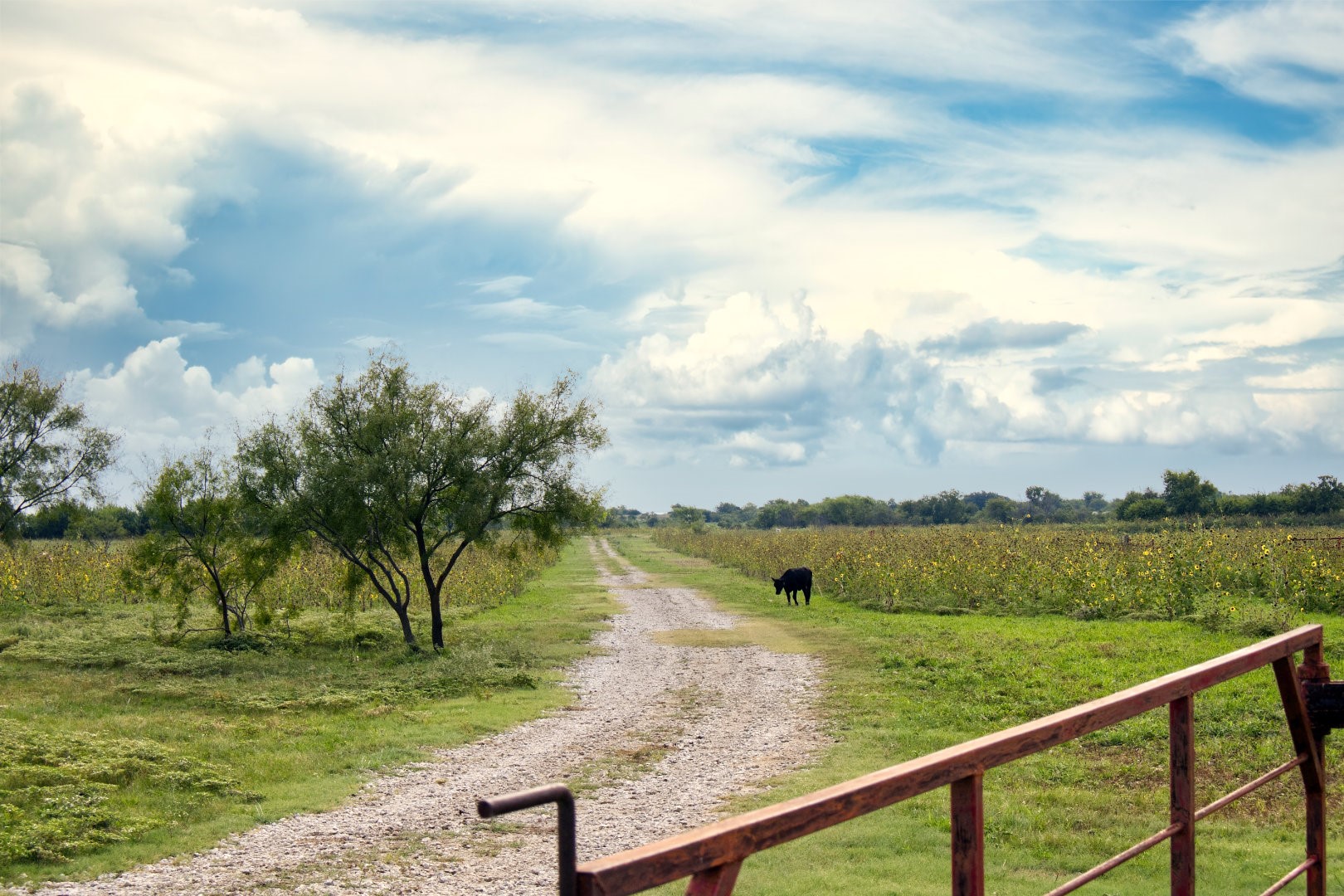 5350 Upper Denton Road Weatherford TX 76085