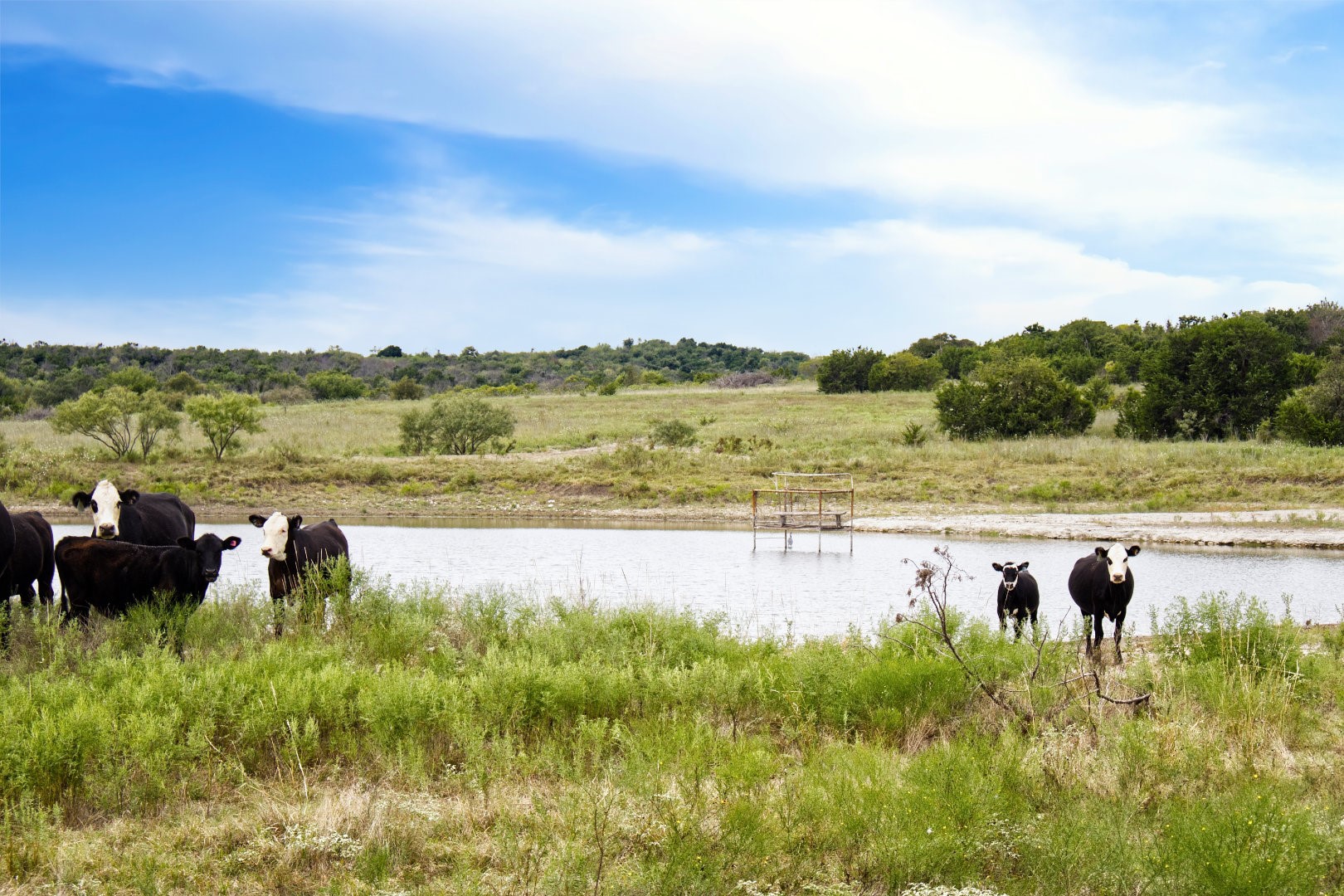 5350 Upper Denton Road Weatherford TX 76085