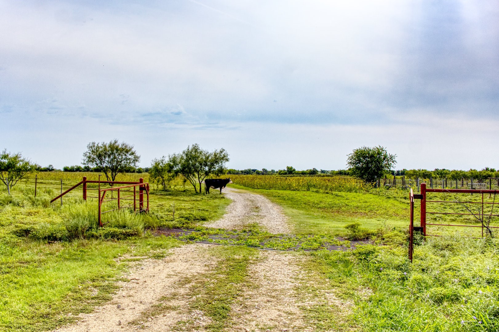 5350 Upper Denton Road Weatherford TX 76085